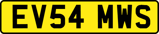EV54MWS