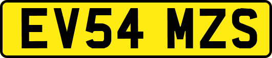 EV54MZS