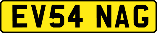 EV54NAG