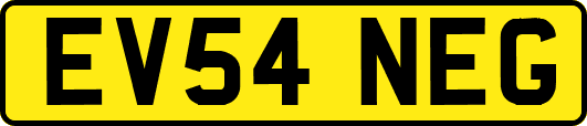 EV54NEG