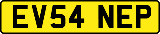 EV54NEP