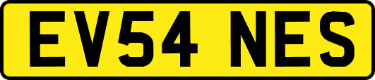 EV54NES