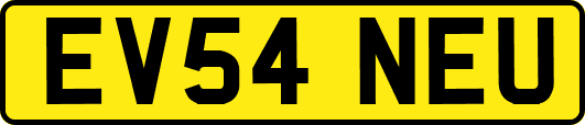 EV54NEU