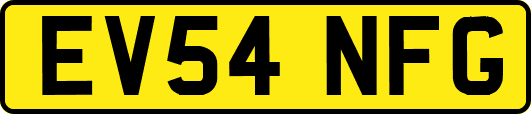 EV54NFG