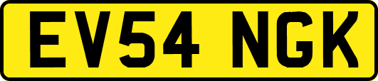 EV54NGK