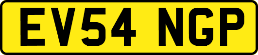 EV54NGP