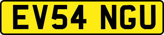EV54NGU