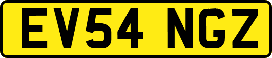 EV54NGZ