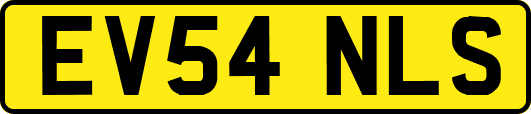 EV54NLS
