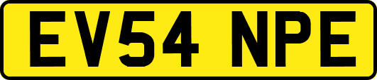 EV54NPE