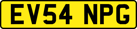EV54NPG