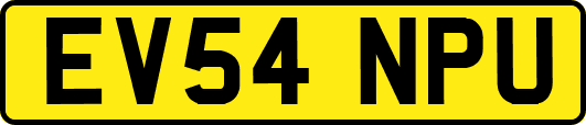 EV54NPU