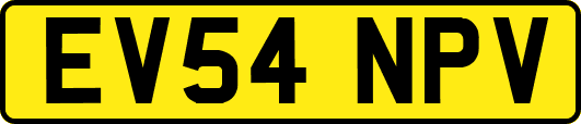 EV54NPV