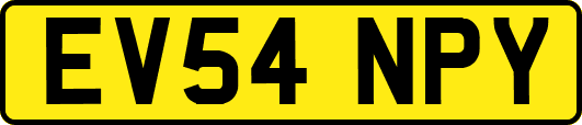 EV54NPY
