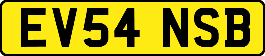 EV54NSB