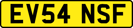 EV54NSF