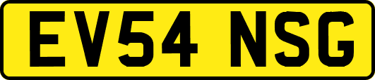 EV54NSG