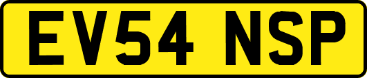 EV54NSP