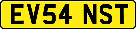 EV54NST