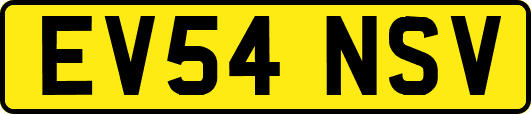 EV54NSV
