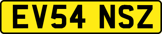 EV54NSZ