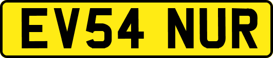 EV54NUR