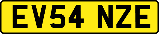 EV54NZE