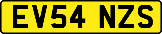 EV54NZS