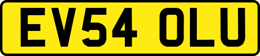 EV54OLU