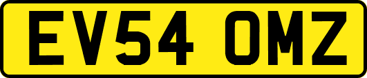 EV54OMZ