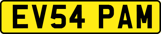 EV54PAM