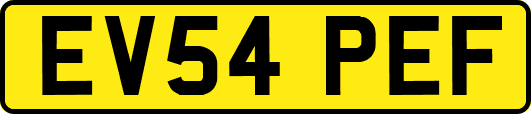 EV54PEF