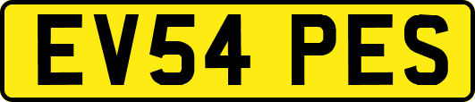 EV54PES