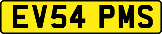 EV54PMS