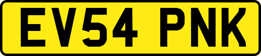 EV54PNK