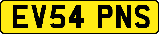 EV54PNS