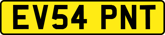 EV54PNT