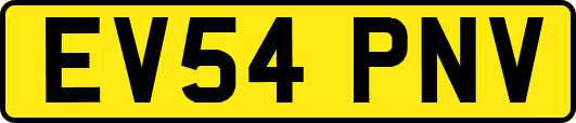 EV54PNV