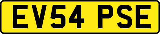 EV54PSE