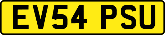 EV54PSU