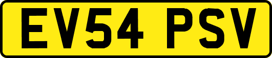EV54PSV