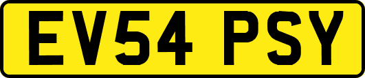 EV54PSY