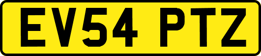EV54PTZ