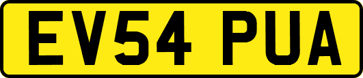EV54PUA