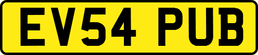 EV54PUB