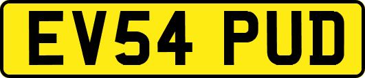 EV54PUD