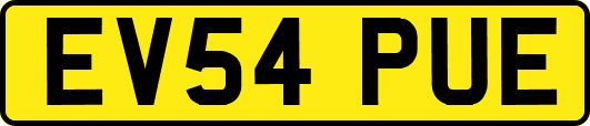 EV54PUE