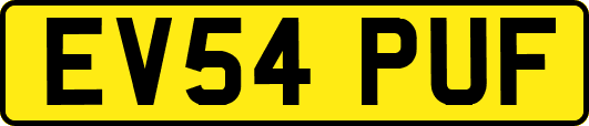 EV54PUF