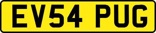 EV54PUG