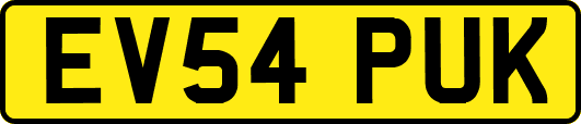 EV54PUK